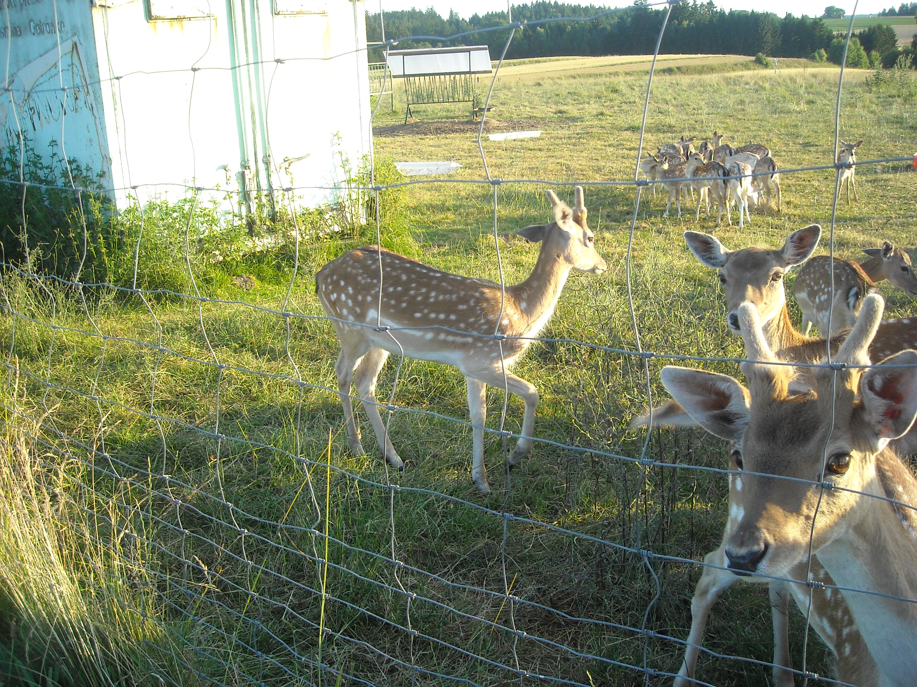unsere Tiere